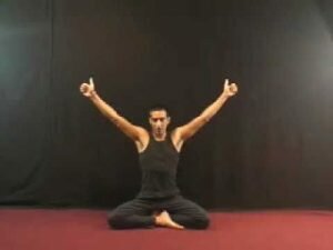 eagle pose